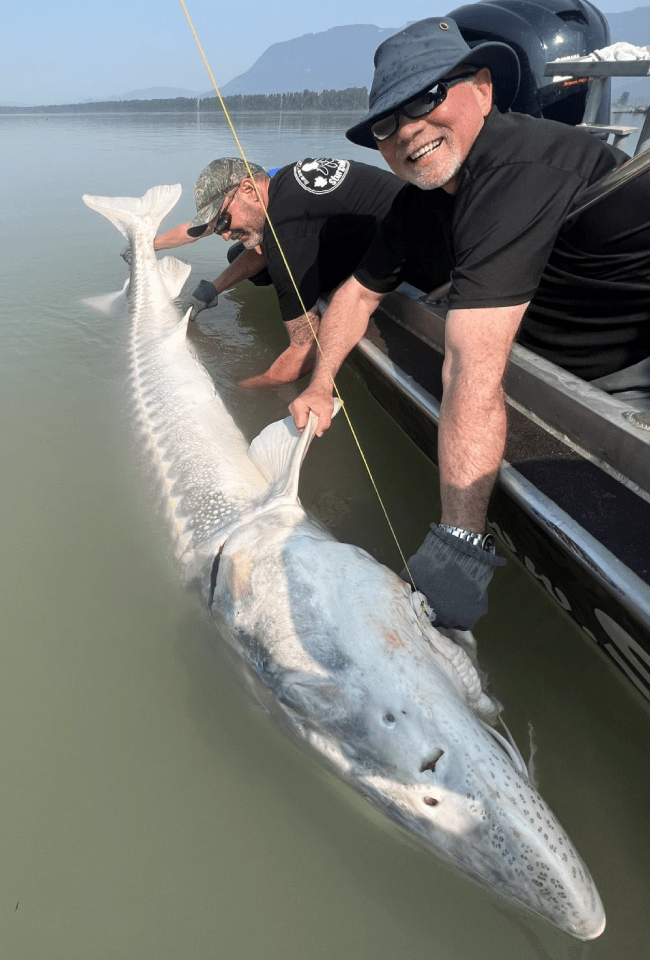 Best Sturgeon Fishing Charters Canada, Fraser River, BC | SturgeonHunter